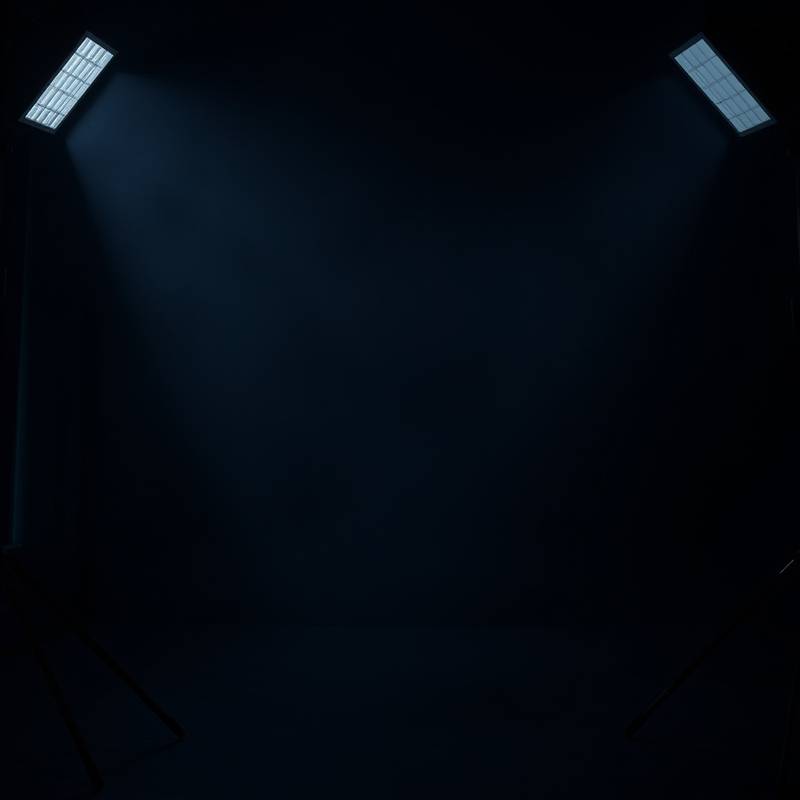 The 'Noir' Room: A dramatic, dark studio with adjustable lighting for moody shots.